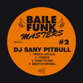 Baile Funk Masters #2 - EP - DJ Sany Pitbull