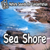 Nature Sounds for Concentration – Sea Shore - Single - Study Music