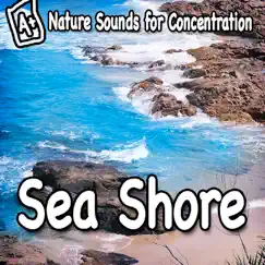 Nature Sounds for Concentration – Sea Shore - Single by Study Music album reviews, ratings, credits