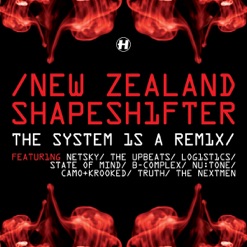 THE SYSTEM IS A REMIX cover art