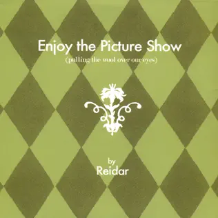 last ned album Reidar - Enjoy The Picture Show Pulling The Wool Over Our Eyes