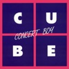 Concert Boy - Single