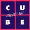 Concert Boy - Single, 2011