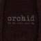 Lo - Orchid lyrics