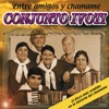Conjunto Ivoti - Entre Amigos y Chamamé