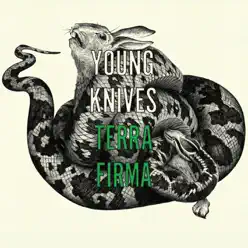 Terra Firma (Live At Oxford Academy) - Single - Young Knives