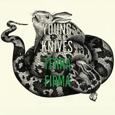 Terra Firma (Live At Oxford Academy) - Single - Young Knives
