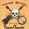 Dead Grass album lyrics, reviews, download
