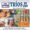 Serie Homenaje: Trios de Oro - Tributo a Lo Mejores Trios de Mexico, 2005