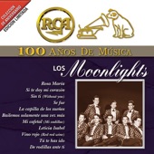 Los Moonlights - Yo No Sé (I Don't Know)