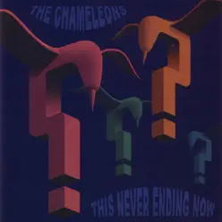 This Never Ending Now - The Chameleons