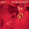Joey Calderazzo - Toonay
