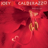 Joey Calderazzo - I've Never Been In Love Before