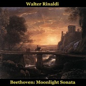 Moonlight Sonata, Piano Sonata No. 14 in C-Sharp Minor, Op. 27, No. 2: I. Adagio sostenuto artwork