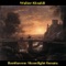 Moonlight Sonata, Piano Sonata No. 14 in C-Sharp Minor, Op. 27, No. 2: I. Adagio sostenuto artwork