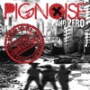 Pignoise - Buscando el Camino