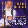 Menuchas Shabbos - The Rest of Carlebach Shabbos