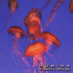 Numina - Death of a Sun