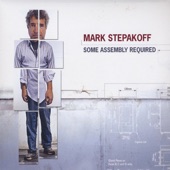 Mark Stepakoff - Vicarious