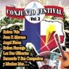 Conjunto Festival Vol. 3, 2010
