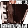 Polka Meisters: Instrumental Polka Band
