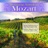 Piano Concerto No.27 in B-Flat Major, K.595: I. Allegro