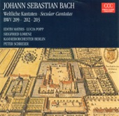 Bach: Cantatas - BWV 202, 203, 209 artwork