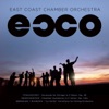 East Coast Chamber Orchestra - Serenade for Strings in C Major, Op. 48 III. Élégie (Larghetto elegiaco)