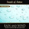 Rain and Wind (Nature Sounds) - Single album lyrics, reviews, download