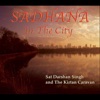 Sadhana in the City
