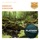 Midway-Amazon (Sander Van Dien Remix)