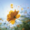 Isao Sasaki - Hotel