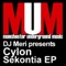 Sekvoia (Curious George & The Agent Remix) - DJ Meri & Cylon lyrics