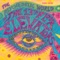 Don't Fall Down - 13th Floor Elevators lyrics