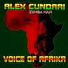 Voice Of Africa