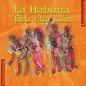 Cha Cha Cha De Los Cariñosos artwork