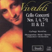 Hungarian State Opera Chamber Orchestra - Cello Concerto in C Minor, RV 401: III. Allegro ma non molto