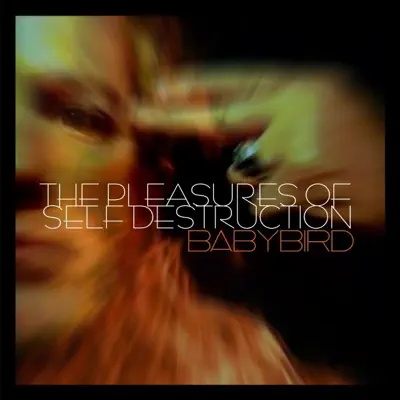 The Pleasures of Self Destruction - Babybird