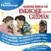 Grandes Exitos de Enrique Guzman - Serie Homenaje album lyrics, reviews, download