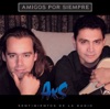 Amigos por Siempre - Sentimientos de la Radio