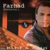 Farhad Besharati - Bird & Rain