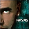 Sinik - D3.32