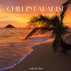 Chill In Paradise Vol. 5 - 25 Lounge & Chill-Out Tracks, 2010