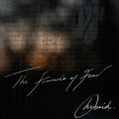 Formula of Fear (Hybrid Remix) artwork