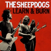 The Sheepdogs - Please Don't Lead Me On