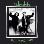 Sebadoh - Narrow Stories