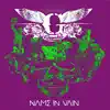 Name In Vain album lyrics, reviews, download