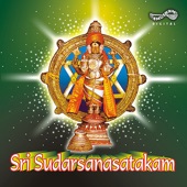 Sri Sudarsanasatakam artwork
