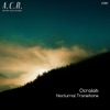 Nocturnal Transitions - EP