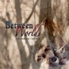 Between Worlds, 2009